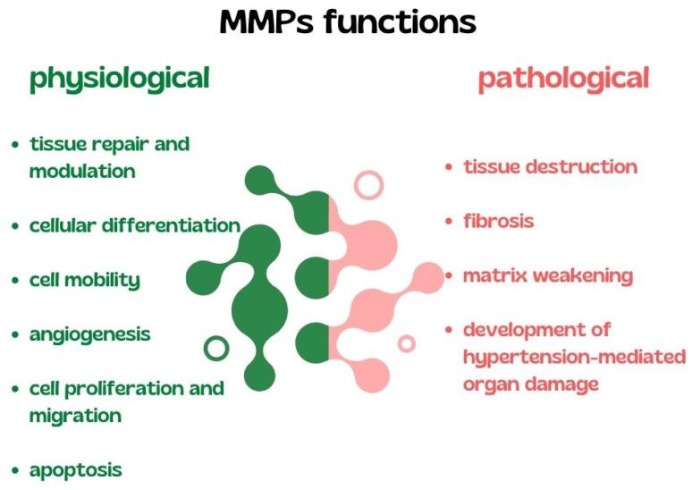 https://cdn.ncbi.nlm.nih.gov/pmc/blobs/8b22/9405799/c984807af824/biomedicines-10-01938-g003.jpg