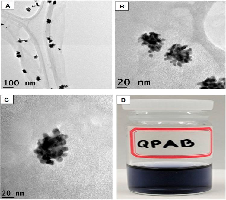 https://cdn.ncbi.nlm.nih.gov/pmc/blobs/8b24/9639171/3085996785eb/d2ra05478g-f7.jpg