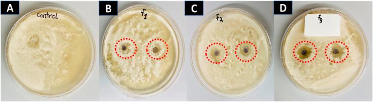 https://cdn.ncbi.nlm.nih.gov/pmc/blobs/8b24/9639171/db25e89d104a/d2ra05478g-f9.jpg