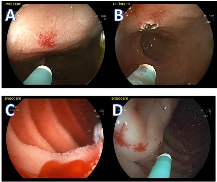 https://cdn.ncbi.nlm.nih.gov/pmc/blobs/8b26/11727186/8af5d4361cbb/12876_2025_3591_Fig2_HTML.jpg