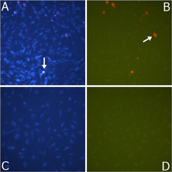 https://cdn.ncbi.nlm.nih.gov/pmc/blobs/8b28/10468768/7716543b8dcd/ao3c03213_0007.jpg