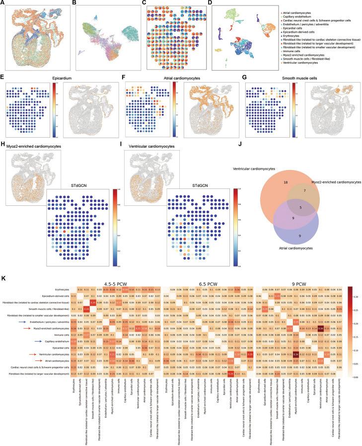 https://cdn.ncbi.nlm.nih.gov/pmc/blobs/8b28/11302295/a5e217fa1114/13059_2024_3353_Fig4_HTML.jpg