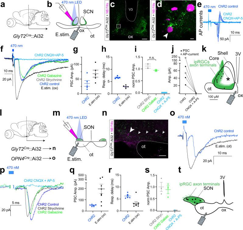 https://cdn.ncbi.nlm.nih.gov/pmc/blobs/8b29/10023714/15a347ec1a96/41467_2023_36955_Fig8_HTML.jpg