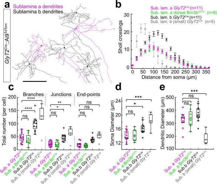 https://cdn.ncbi.nlm.nih.gov/pmc/blobs/8b29/10023714/5f5be66512a9/41467_2023_36955_Fig2_HTML.jpg