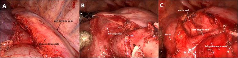 https://cdn.ncbi.nlm.nih.gov/pmc/blobs/8b2a/7490884/511fe72bbffc/13019_2020_1278_Fig3_HTML.jpg