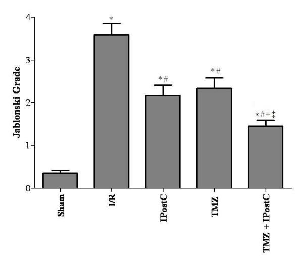 https://cdn.ncbi.nlm.nih.gov/pmc/blobs/8b2b/3431271/3cd0114bb046/1423-0127-19-71-5.jpg