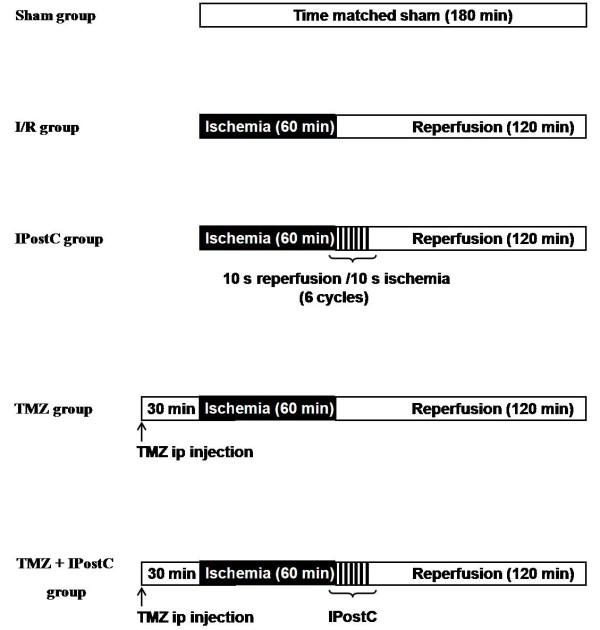 https://cdn.ncbi.nlm.nih.gov/pmc/blobs/8b2b/3431271/87556f437446/1423-0127-19-71-1.jpg