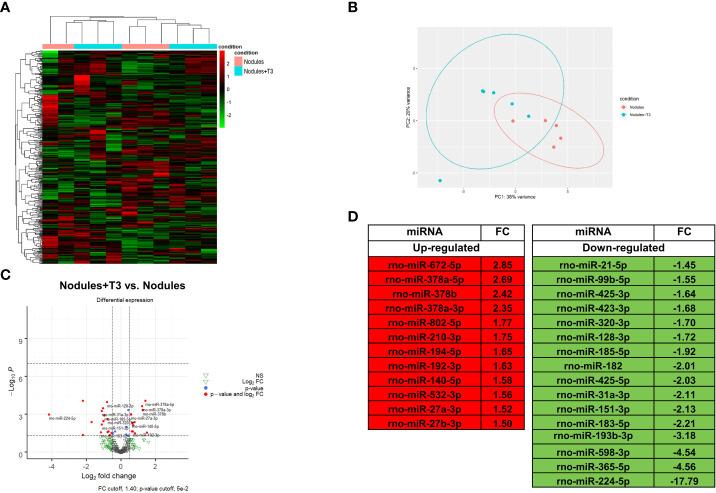 https://cdn.ncbi.nlm.nih.gov/pmc/blobs/8b2c/9530455/c56956eef82d/fonc-12-941552-g003.jpg