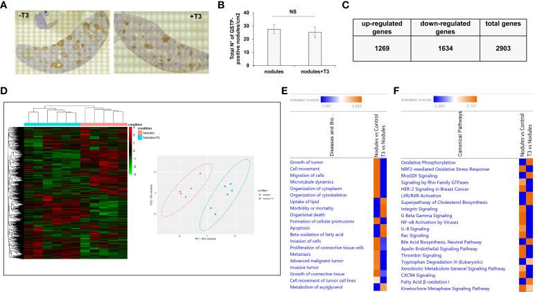 https://cdn.ncbi.nlm.nih.gov/pmc/blobs/8b2c/9530455/cb0d990fbf23/fonc-12-941552-g002.jpg
