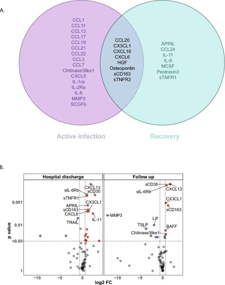 https://cdn.ncbi.nlm.nih.gov/pmc/blobs/8b2d/11153563/beae6bc2ad85/41598_2024_63586_Fig5_HTML.jpg