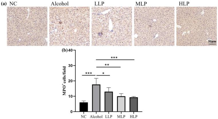 https://cdn.ncbi.nlm.nih.gov/pmc/blobs/8b2e/9824527/1f162eada03c/nutrients-15-00190-g005.jpg