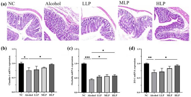 https://cdn.ncbi.nlm.nih.gov/pmc/blobs/8b2e/9824527/2bb5b81cee99/nutrients-15-00190-g008.jpg