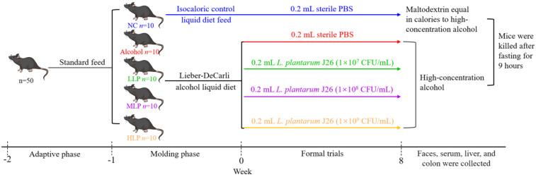 https://cdn.ncbi.nlm.nih.gov/pmc/blobs/8b2e/9824527/867d61bd76a0/nutrients-15-00190-g001.jpg