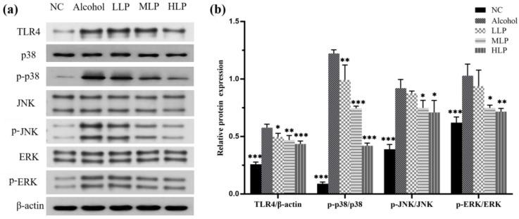 https://cdn.ncbi.nlm.nih.gov/pmc/blobs/8b2e/9824527/c48c77431732/nutrients-15-00190-g007.jpg