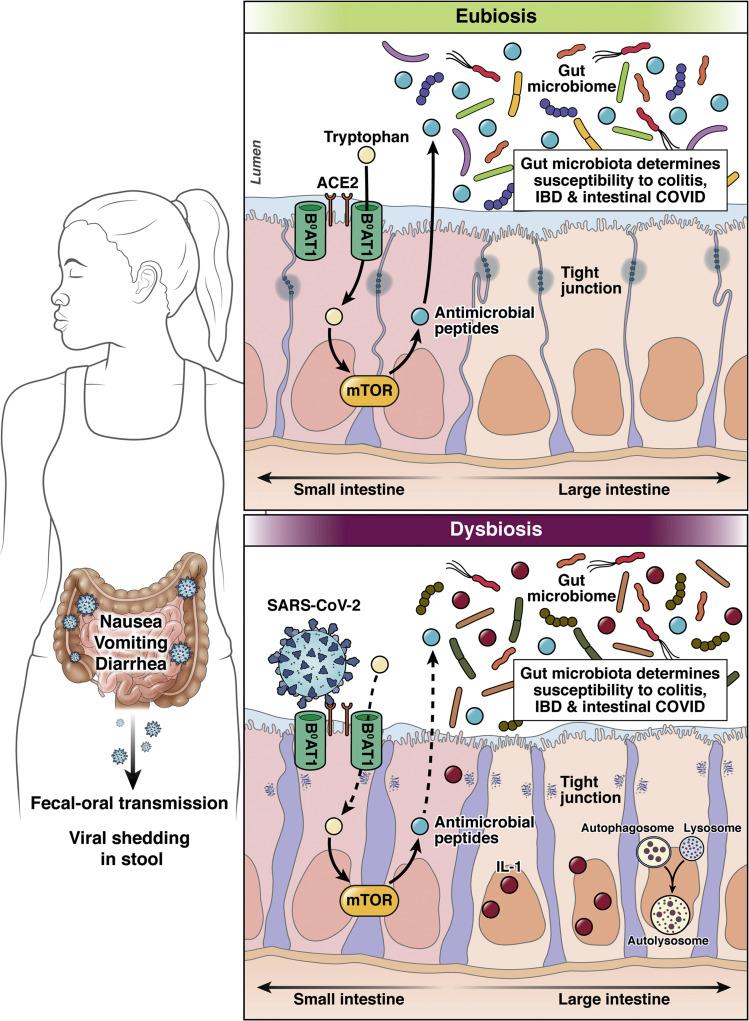 https://cdn.ncbi.nlm.nih.gov/pmc/blobs/8b2f/7836226/81a04164b5b7/gr2_lrg.jpg