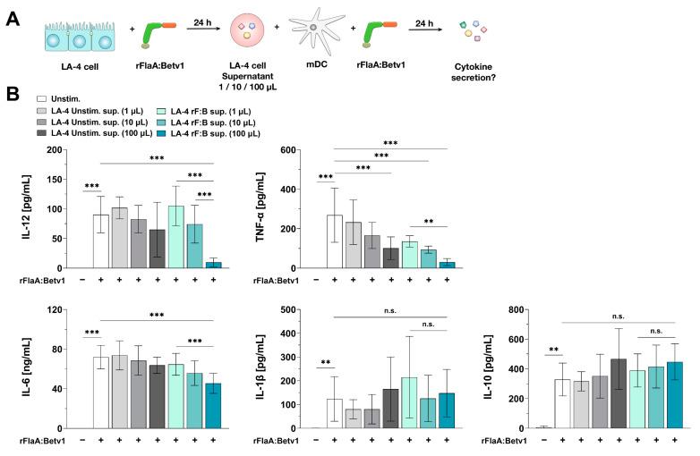 https://cdn.ncbi.nlm.nih.gov/pmc/blobs/8b2f/8700022/09c5483fd6d0/cells-10-03415-g008.jpg