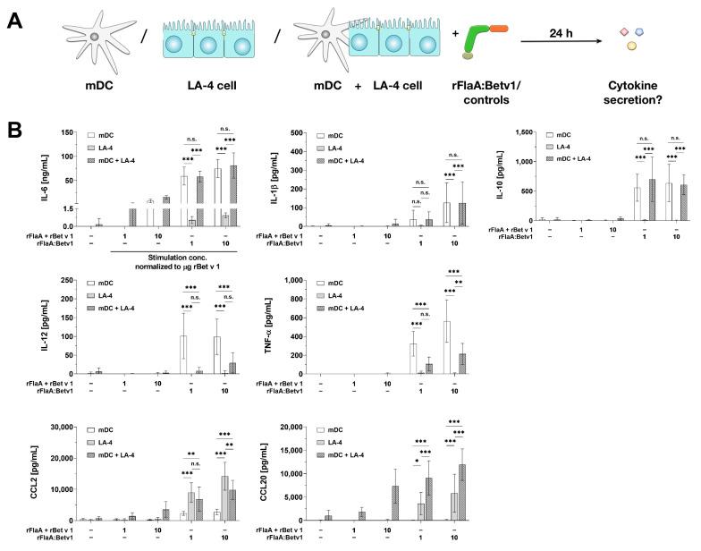 https://cdn.ncbi.nlm.nih.gov/pmc/blobs/8b2f/8700022/19bce9c91c36/cells-10-03415-g007.jpg