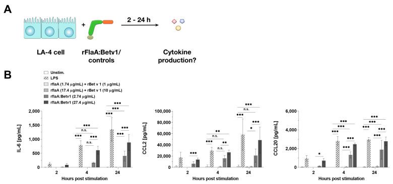 https://cdn.ncbi.nlm.nih.gov/pmc/blobs/8b2f/8700022/255e246e2ae4/cells-10-03415-g001.jpg