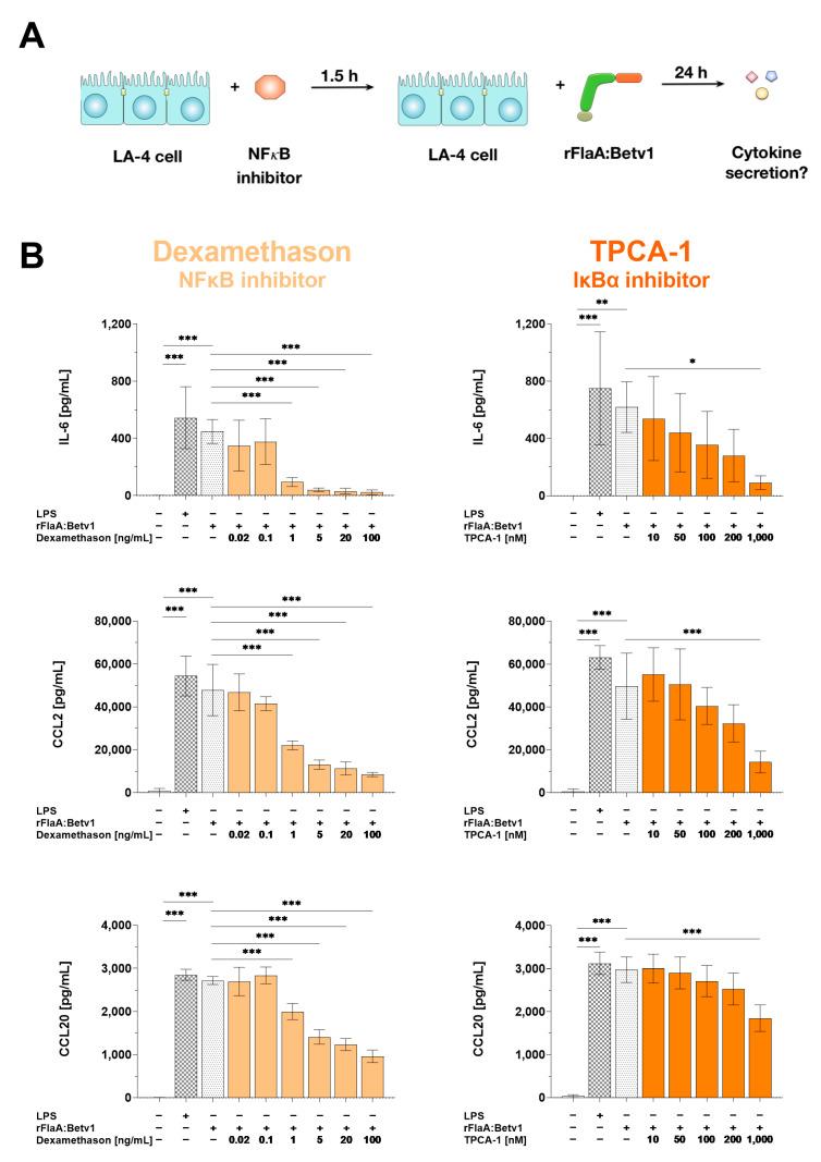 https://cdn.ncbi.nlm.nih.gov/pmc/blobs/8b2f/8700022/c17b64446e8a/cells-10-03415-g006.jpg