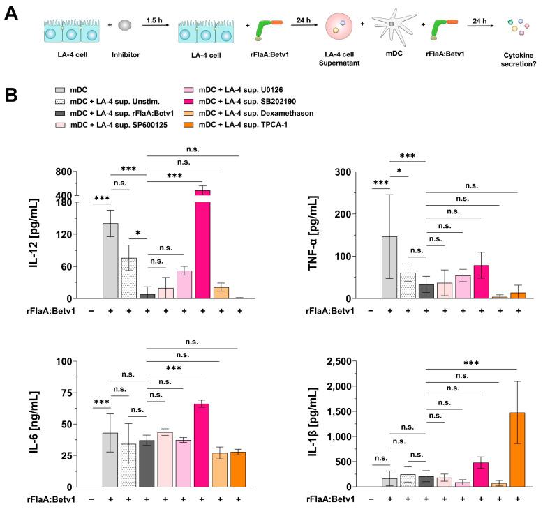 https://cdn.ncbi.nlm.nih.gov/pmc/blobs/8b2f/8700022/de03946cf01c/cells-10-03415-g009.jpg