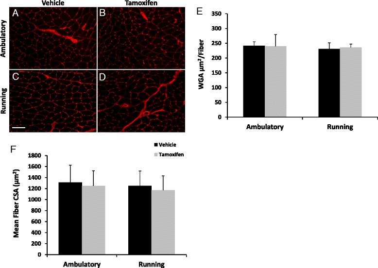 https://cdn.ncbi.nlm.nih.gov/pmc/blobs/8b30/4647638/ae861e0b6a0b/13395_2015_65_Fig5_HTML.jpg
