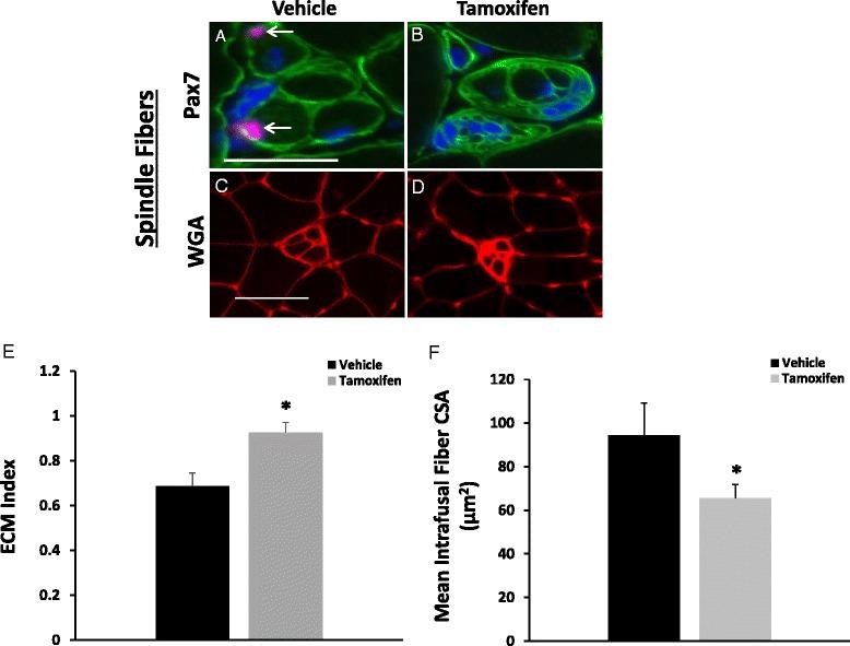 https://cdn.ncbi.nlm.nih.gov/pmc/blobs/8b30/4647638/ed61e053df33/13395_2015_65_Fig8_HTML.jpg