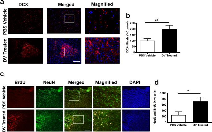 https://cdn.ncbi.nlm.nih.gov/pmc/blobs/8b30/7803718/3c65436fac66/12975_2020_800_Fig4_HTML.jpg