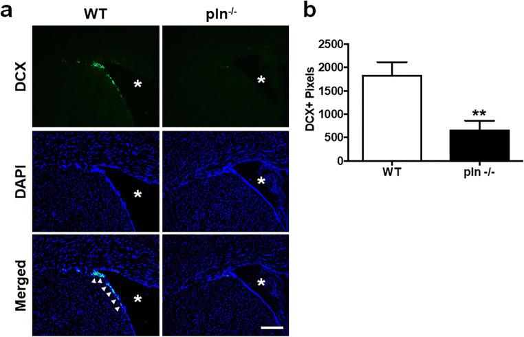 https://cdn.ncbi.nlm.nih.gov/pmc/blobs/8b30/7803718/5b25f4bcea12/12975_2020_800_Fig2_HTML.jpg