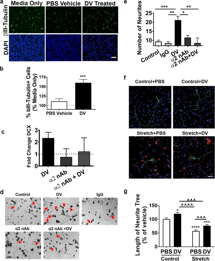 https://cdn.ncbi.nlm.nih.gov/pmc/blobs/8b30/7803718/69457c761ca8/12975_2020_800_Fig6_HTML.jpg