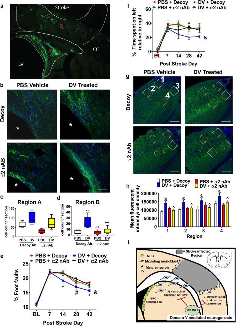https://cdn.ncbi.nlm.nih.gov/pmc/blobs/8b30/7803718/d26426defd0c/12975_2020_800_Fig7_HTML.jpg