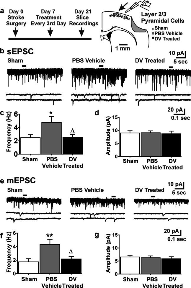 https://cdn.ncbi.nlm.nih.gov/pmc/blobs/8b30/7803718/e0543e76bfd0/12975_2020_800_Fig5_HTML.jpg