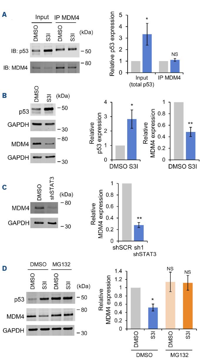 https://cdn.ncbi.nlm.nih.gov/pmc/blobs/8b31/10985450/6768fbb10516/1091069.fig2.jpg