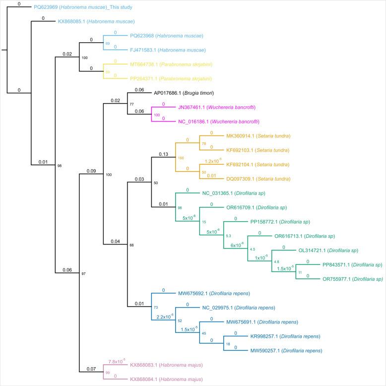 https://cdn.ncbi.nlm.nih.gov/pmc/blobs/8b33/12318383/f7bcbae47673/13071_2025_6970_Fig1_HTML.jpg
