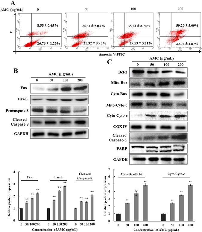 https://cdn.ncbi.nlm.nih.gov/pmc/blobs/8b34/5442098/ad87c8388b4a/41598_2017_2573_Fig2_HTML.jpg