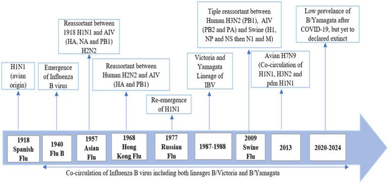 https://cdn.ncbi.nlm.nih.gov/pmc/blobs/8b35/11408344/8c4998216d13/fmicb-15-1467029-g002.jpg