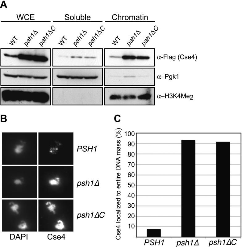 https://cdn.ncbi.nlm.nih.gov/pmc/blobs/8b36/4197964/a31e5944c43a/1815fig4.jpg