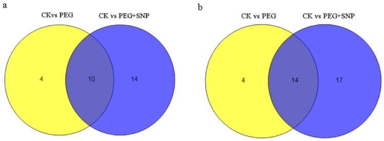 https://cdn.ncbi.nlm.nih.gov/pmc/blobs/8b36/7016817/5a850b8a9b53/genes-11-00030-g004.jpg