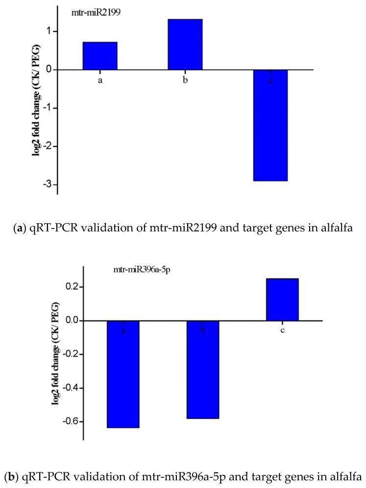 https://cdn.ncbi.nlm.nih.gov/pmc/blobs/8b36/7016817/8ff335d6496d/genes-11-00030-g006a.jpg