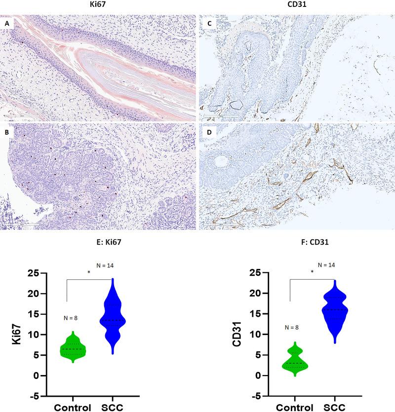https://cdn.ncbi.nlm.nih.gov/pmc/blobs/8b39/11323795/7b5bff2d21b1/mbio.01420-24.f006.jpg