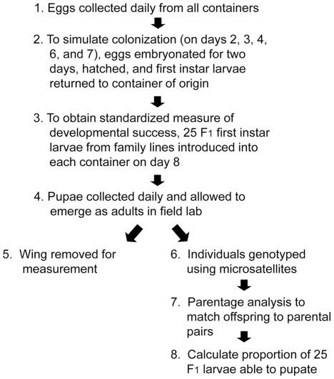 https://cdn.ncbi.nlm.nih.gov/pmc/blobs/8b3a/3341338/a675c290dc51/pntd.0001632.g002.jpg