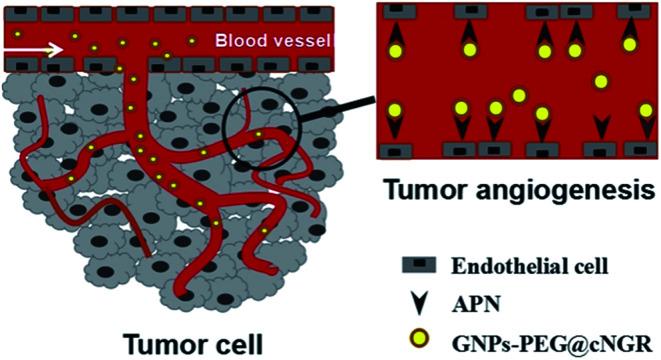 https://cdn.ncbi.nlm.nih.gov/pmc/blobs/8b3b/9077115/4db274d25d73/c7ra10155d-s1.jpg