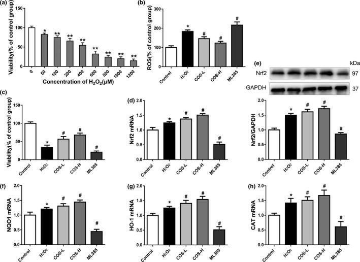 https://cdn.ncbi.nlm.nih.gov/pmc/blobs/8b3c/7382186/2a99a6538839/FSN3-8-3872-g004.jpg