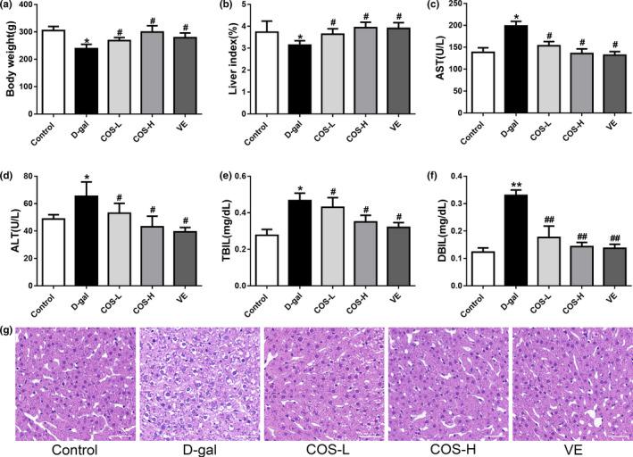 https://cdn.ncbi.nlm.nih.gov/pmc/blobs/8b3c/7382186/374c65114b9c/FSN3-8-3872-g001.jpg