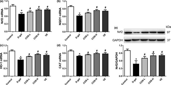 https://cdn.ncbi.nlm.nih.gov/pmc/blobs/8b3c/7382186/b99678875c96/FSN3-8-3872-g003.jpg