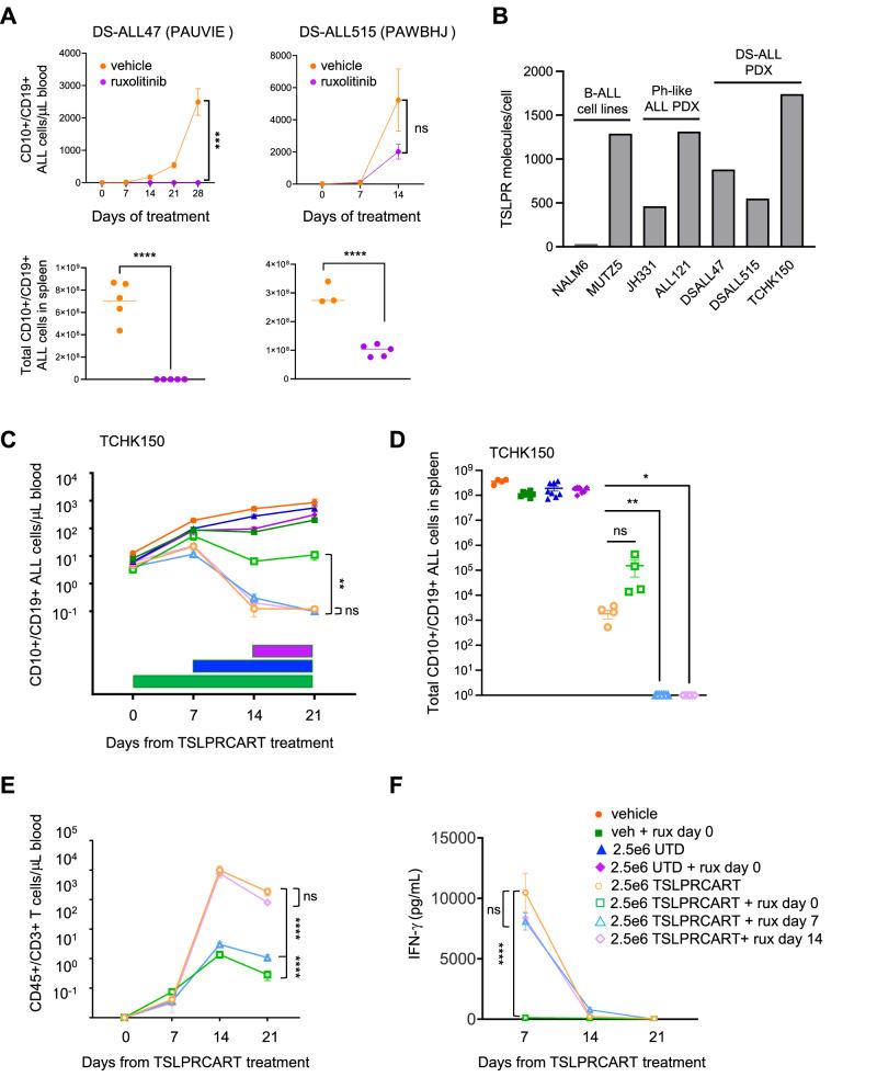 https://cdn.ncbi.nlm.nih.gov/pmc/blobs/8b40/11879877/17fc998257a6/41375_2024_2493_Fig6_HTML.jpg