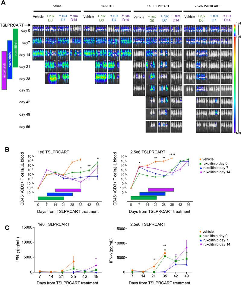 https://cdn.ncbi.nlm.nih.gov/pmc/blobs/8b40/11879877/1edfcd75ac36/41375_2024_2493_Fig4_HTML.jpg