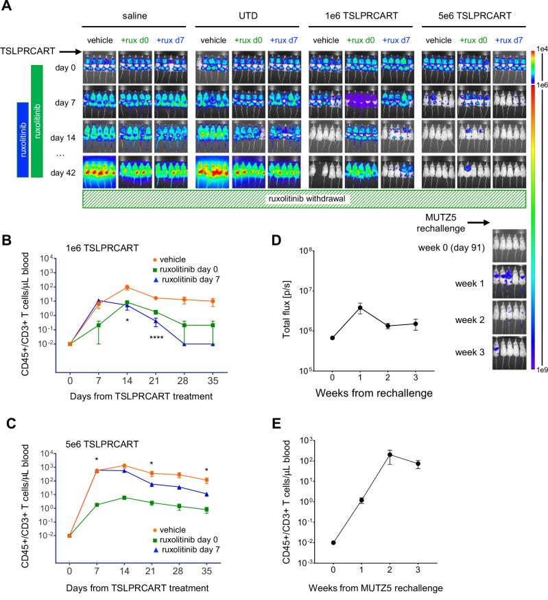 https://cdn.ncbi.nlm.nih.gov/pmc/blobs/8b40/11879877/471231852439/41375_2024_2493_Fig3_HTML.jpg