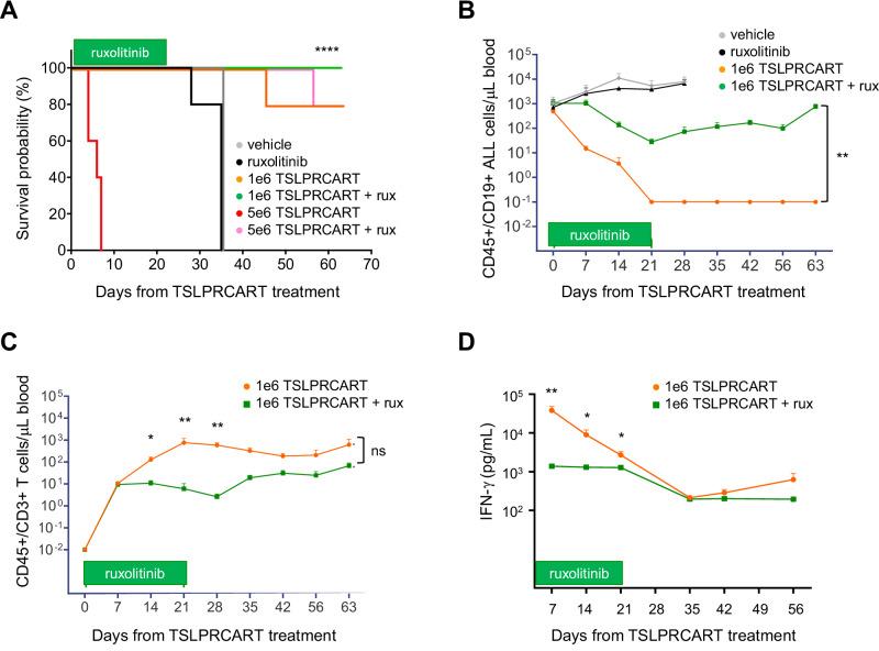 https://cdn.ncbi.nlm.nih.gov/pmc/blobs/8b40/11879877/92650c94de7e/41375_2024_2493_Fig1_HTML.jpg