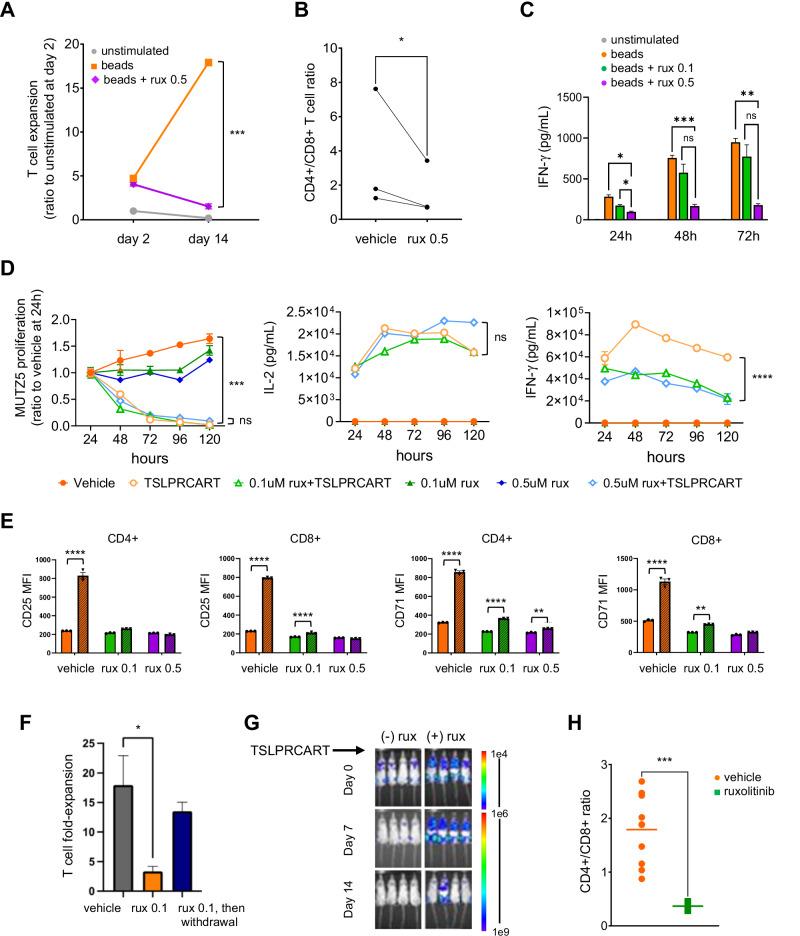 https://cdn.ncbi.nlm.nih.gov/pmc/blobs/8b40/11879877/e0ada39c23cb/41375_2024_2493_Fig2_HTML.jpg