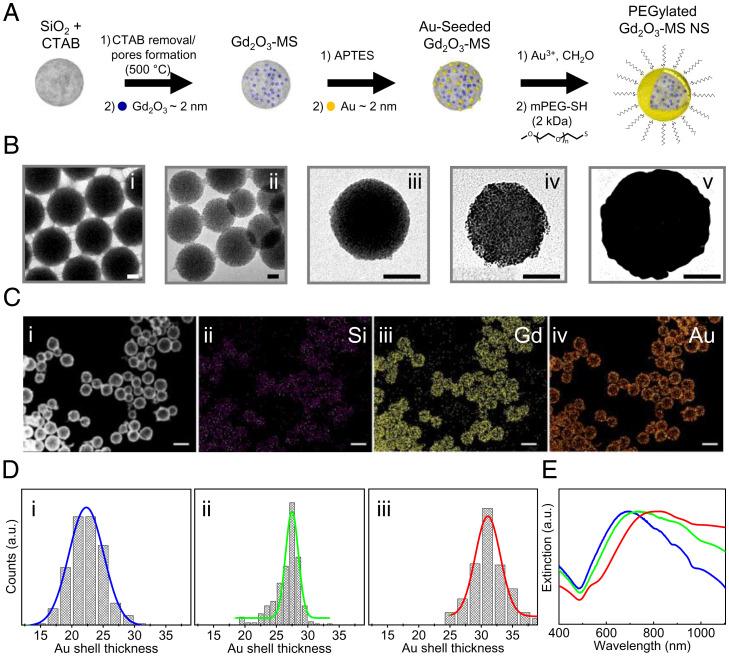 https://cdn.ncbi.nlm.nih.gov/pmc/blobs/8b41/9303993/199478d57c9c/pnas.2123527119fig01.jpg